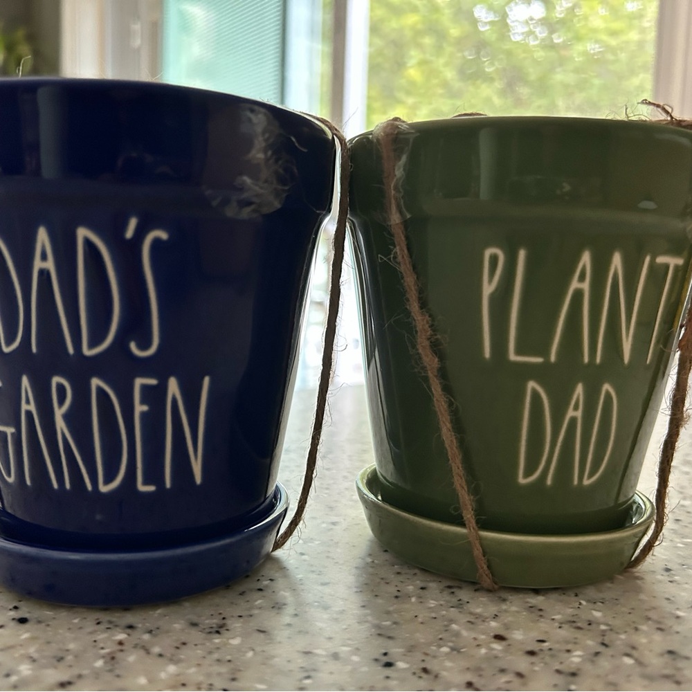 Blue and Green Plant Pots Set